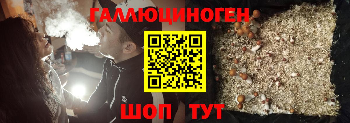 Галлюциногенные грибы GOLDEN TEACHER Норильск